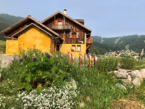 2023 - Crépis réalisé